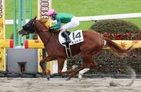  �ڿ�����ۥҥåȥߡ���;�Ͻ�ʬ�ˣ��ϿȺ�������Ⱦ���Ϻ�ǯ�λ��ڣ��У��Ƽԥ��åȥ��åס����ͻա�ǽ�ϤǾ��äƤ��줿�͡�