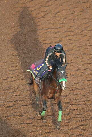 毎日王冠最新情報】秋の訪れを告げる強豪揃いの一戦！ | 競馬まとめ - netkeiba