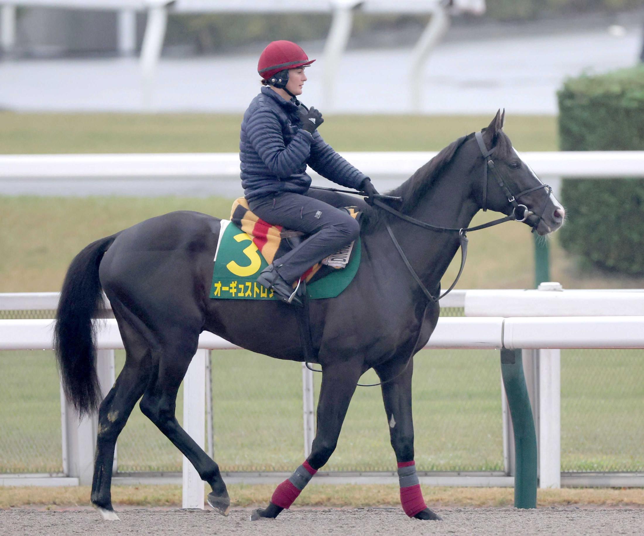 ディープ最終世代】英ダービー馬オーギュストロダン(Auguste Rodin)の最新ニュース一覧 | 競馬まとめ - netkeiba