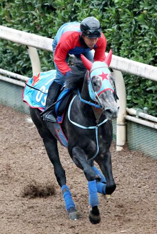 【京阪杯】JC後の短距離決戦　1番人気は6・0倍　上位人気4頭が7・0倍の間にひしめく大混戦　前日最終オッズ
