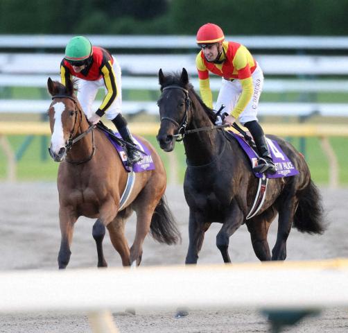 優駿牝馬（オークス）（G1）まとめ】2022年5月22日に東京競馬場で開催！ | 競馬まとめ - netkeiba