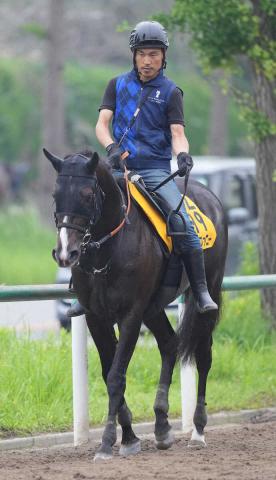 小倉大賞典予想】過去10年のデータから浮かび上がる的中のポイントは種牡馬と脚質！ 過去10年のレース結果（1～3着馬）のデータ一覧/競馬予想データ |  競馬まとめ - netkeiba