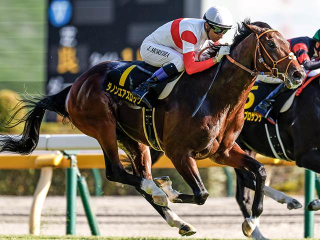 セレクトセール2022特集】結果速報・注目馬・高額馬・上場馬一覧 | 競馬まとめ - netkeiba