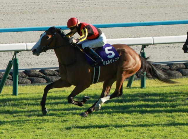 2023年 オークス(G1)を写真で振り返る【リバティアイランド 川田将雅騎手】 | 競馬まとめ - netkeiba