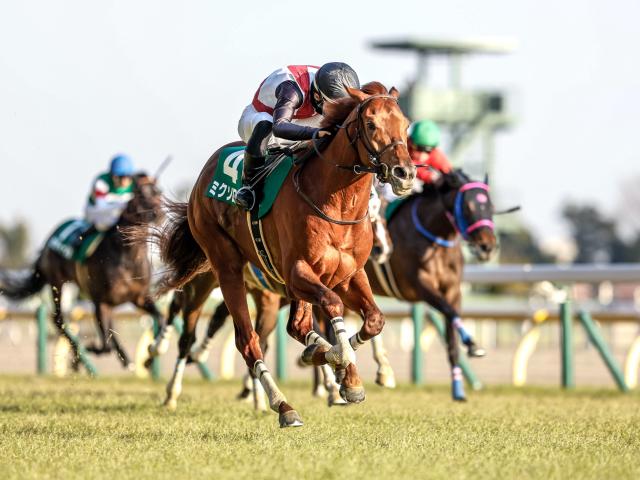 【ステイヤーズS予想】JRA最長距離の平地重賞 3度の急坂越えるスタミナの有無が勝敗のカギ