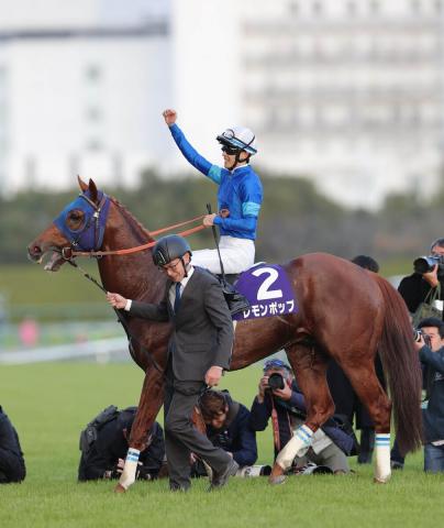 サウジカップデー2022結果一覧】ルメール騎手＆日本馬は4勝!!!! 2022年2月26日 サウジカップ、リヤドダートスプリント、レッドシーターフHなどのレース結果一覧  | 競馬まとめ - netkeiba