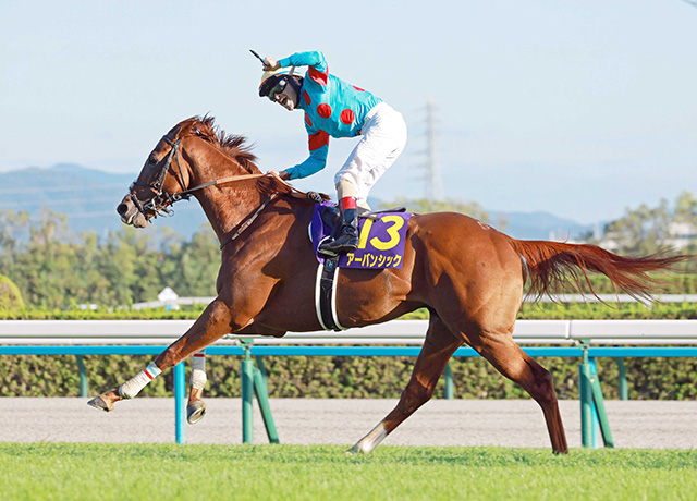 競馬ファンが選ぶ「思い出の有馬記念」は？第4回中間結果発表！2位2013年オルフェーヴル、1位は？ | 競馬まとめ - netkeiba