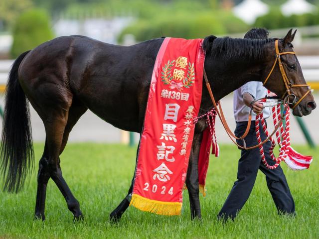 オークス2024結果情報】チェルヴィニアがG1初制覇・桜花賞馬ステレンボッシュを差し切る 前走13着からのリベンジは最大着差 | 競馬まとめ -  netkeiba