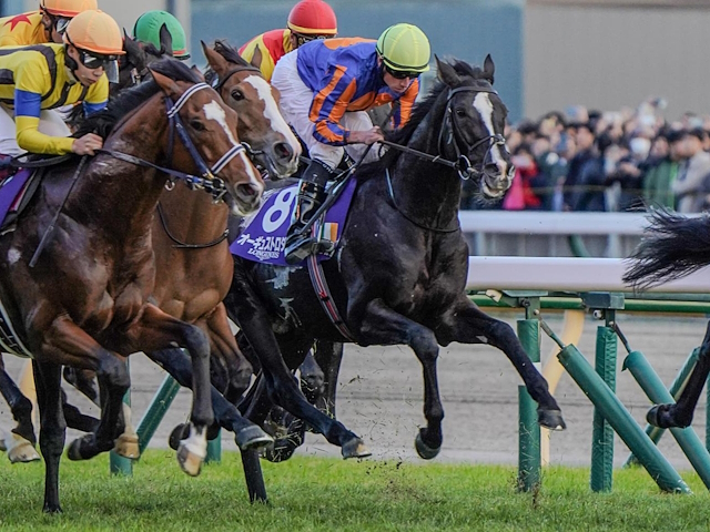 「勝ち馬がとても強かった」A.オブライエン師が語る、オーギュストロダンのラストランの敗因