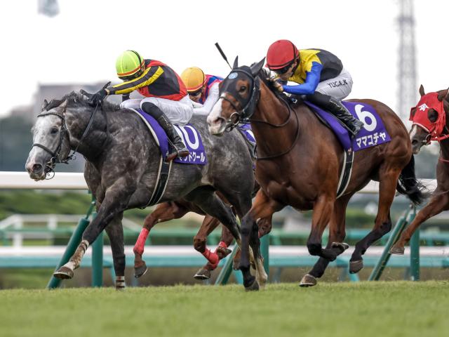 ケイエスミラクルの軌跡 天まで駆け抜けた『奇跡』の快速馬/名馬列伝 | 競馬まとめ - netkeiba