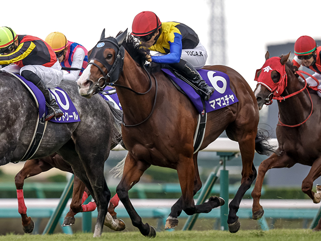 ケイエスミラクルの軌跡 天まで駆け抜けた『奇跡』の快速馬/名馬列伝 | 競馬まとめ - netkeiba