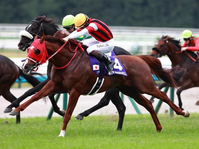 競走馬の調教施設・調教用語の一覧 | 競馬用語まとめ | 競馬まとめ - netkeiba