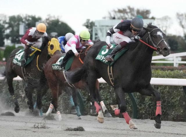 21年全日本2歳優駿覇者ドライスタウト　屈腱炎再発で引退…種牡馬入り「夢の続きは産駒に託したい」