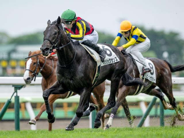 【ホープフルS予想】ペースの見極めがカギに 来年のクラシックへ向けた重要な一戦