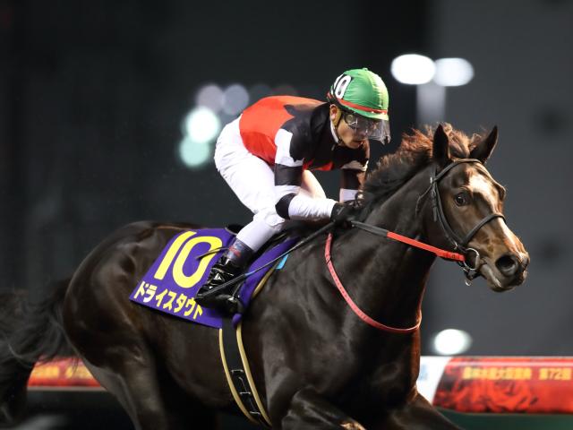 21年のダート2歳王者 ドライスタウトが抹消・種牡馬入り