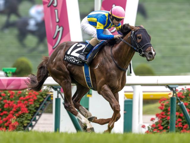 【京都金杯予想】今年は中京芝1600mでの開催 内枠先行馬が有利に