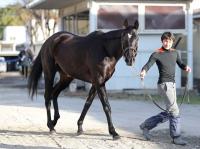  ���滳���ա�Ʊ������λ��S�Ƽԥ��ꥹ�ޥ��ѥ졼�ɤ������κǽ�Ĵ�����رġ֥Хå�����͡�