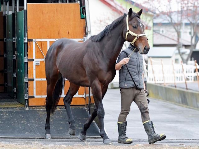 ニシノデイジーがけい養先の白馬牧場に到着 中山大障害2勝など平地・障害合わせ重賞4勝