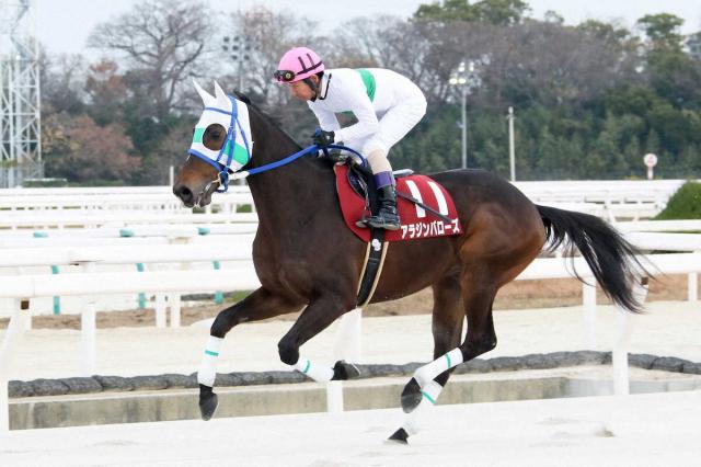 【兵庫県競馬】年度代表馬はアラジンバローズ　「功勲馬」にイグナイター