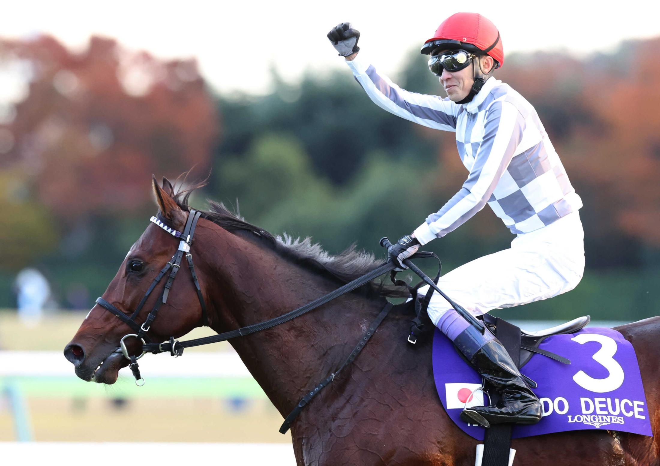 年度代表馬はドウデュースに決定　２５６票中２３６票獲得で得票率９２％超　主戦の武豊は特別賞に