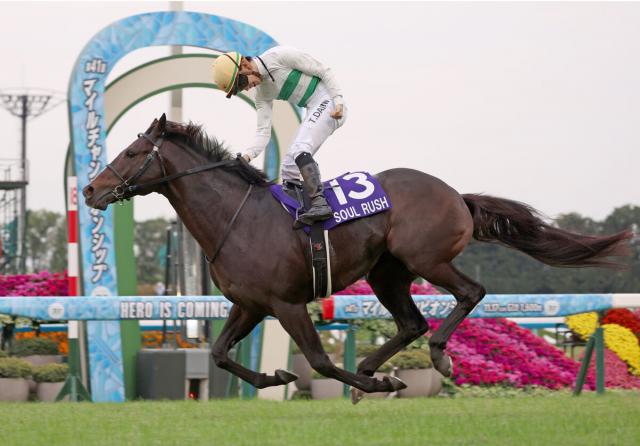 【JRA賞】最優秀スプリンターにルガルが選出