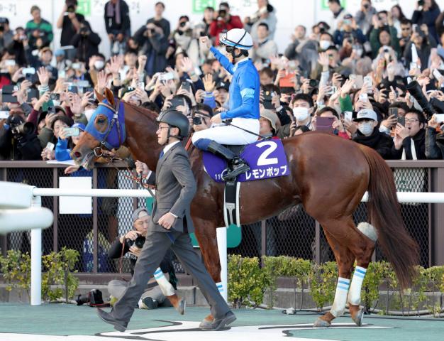【JRA賞】レモンポップが2年連続で最優秀ダートホースに　現役最終年はG1級競走3勝