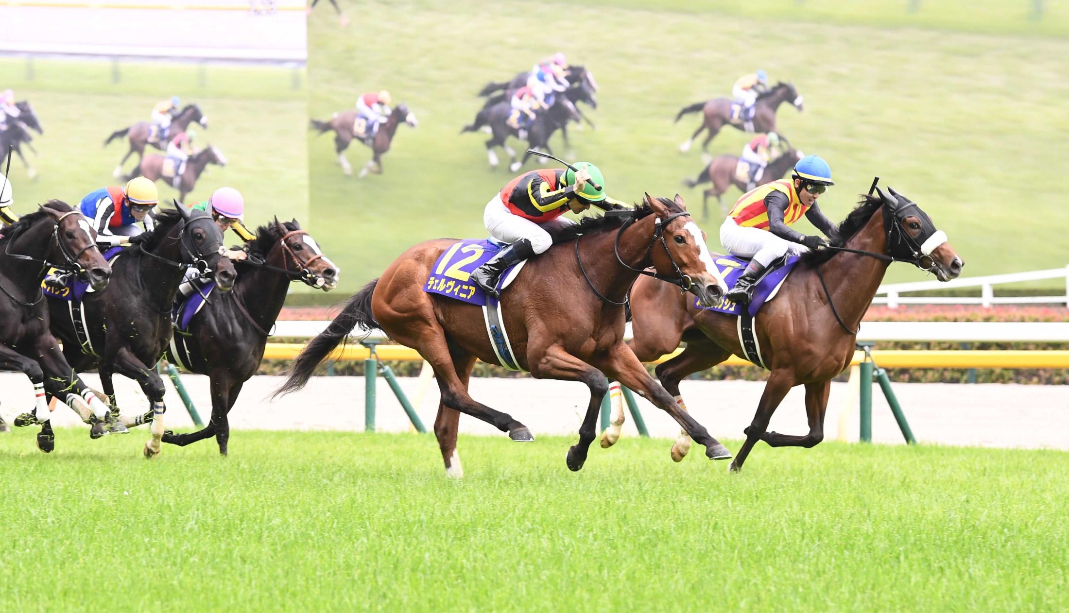 競馬ファンが選ぶ「思い出の有馬記念」は？最終結果発表！1位は1993年トウカイテイオー | 競馬まとめ - netkeiba