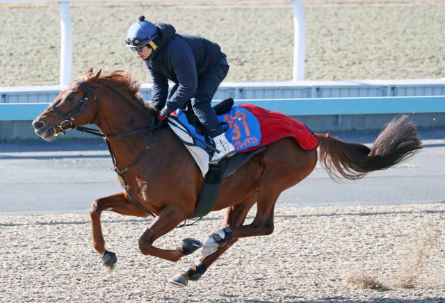 【注目馬動向】ウイングレイテストは1351ターフスプリントの招待待ち　選出されなかった場合はオーシャンSへ