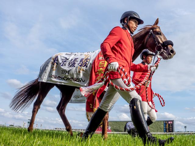 【AI予想・AJCC】魅力ある馬が集った伝統の一戦！ 人工知能はダービー馬の意地に期待