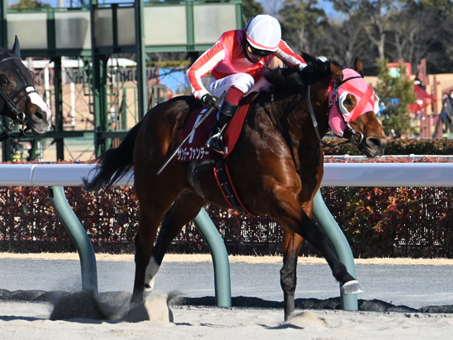 【JRA・WIN5】歴代最高の売上を更新、的中801票も配当は516万3170円