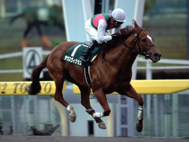 02年、03年に根岸S連覇 ダート競馬を変えたサウスヴィグラスとその産駒たち