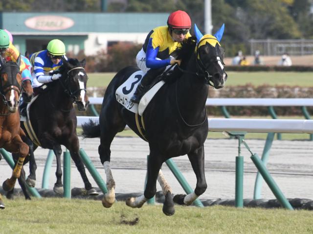 【AI予想・根岸S】フェブラリーSに向けて最も重要な前哨戦！ 人工知能はダート1400mで無敗の実力馬を高評価