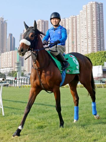 香港ヴァーズ2022】海外では上位2頭の差がなく大混戦！ 主要ブックメーカーの最新オッズ(2022年12月11日現在) | 競馬まとめ -  netkeiba