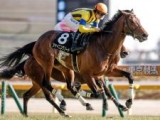   【箱根特別レース後コメント】シャイニングソード川田将雅騎手ら