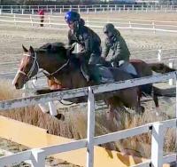  �㳲�κ���ҹ����꤬2���ܤ�����Υæ����18����Ĵ�������ء����ϸ�γ�ƣ�ʤɿ������