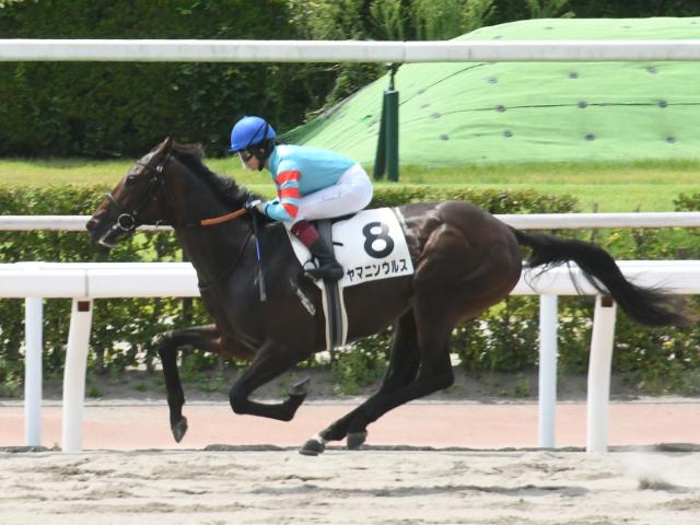 【小倉大賞典予想オッズ】ヤマニンウルスが予想1番人気