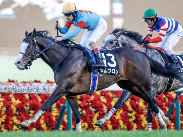 【ダイヤモンドS予想】3400mの先に輝く人馬は 特殊な条件だけに「格」より「適性」重視で