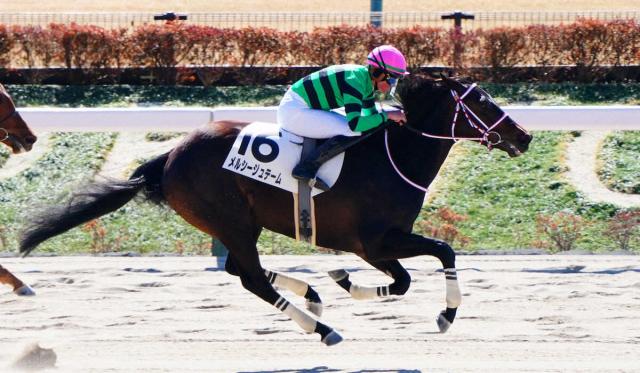 【東京3R新馬】メルシージュテーム差し切りV　岩田望「上のクラスでもやれる」