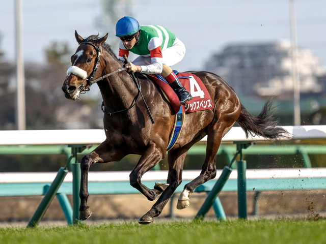 マイルチャンピオンシップ2023結果】紅一点ナミュールが鮮やかな