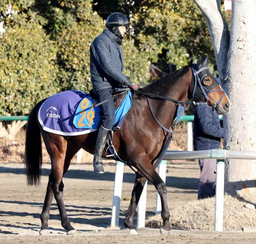 【オーシャンS】オーキッドロマンスは差す競馬で新境地を開く　手塚久調教師「脚質が安定してくれれば」