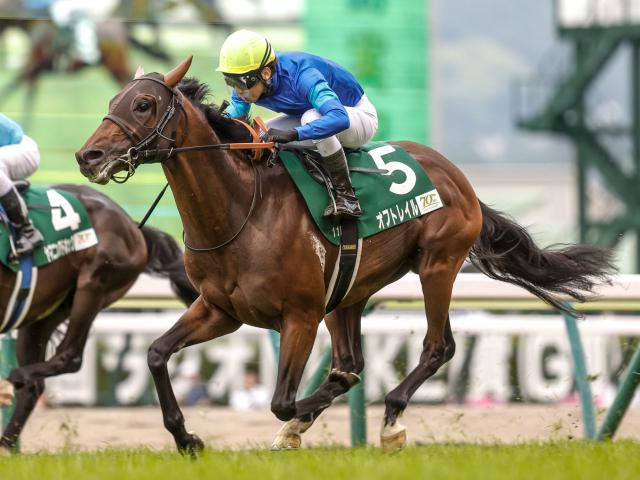 【オーシャンS予想】開幕2週目の馬場と直線距離がポイント!? レース条件や過去傾向から手が出しにくい人気馬とは
