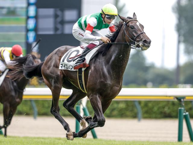 【チューリップ賞予想】前走で底を見せていないことが好走条件!? 重賞好走馬に立ちはだかる試練とは