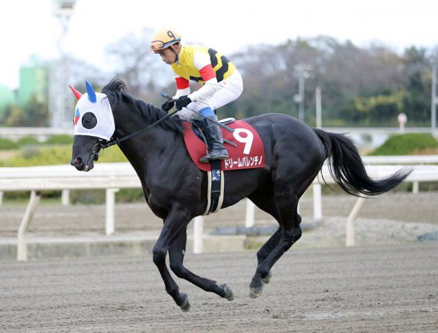 ロージズインメイが3月4日に死す　ドリームバレンチノや母の父としてはユーバーレーベンを送り出す