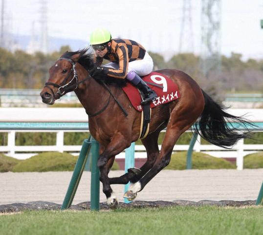 前川厩舎に転厩したモズメイメイは高松宮記念へ　指揮官はJRA史上初の女性調教師
