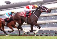  【報知杯FR】1億8500万円の期待馬ついに重賞初制覇　桜花賞切符つかんだ　池添謙一最多タイ3勝目　