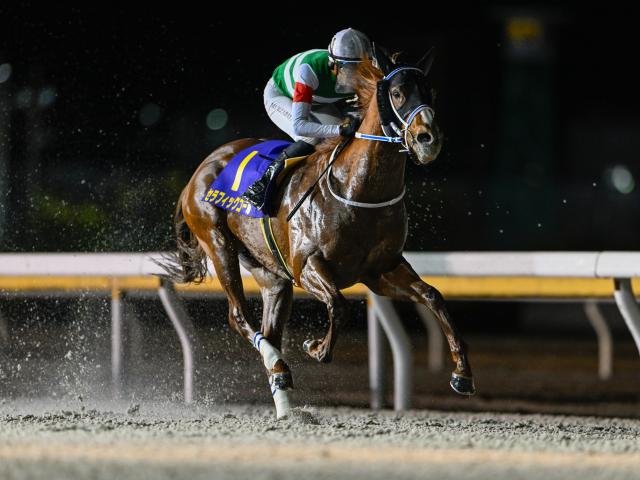 【船橋・ダイオライト記念枠順】連覇を狙うセラフィックコールは8枠12番