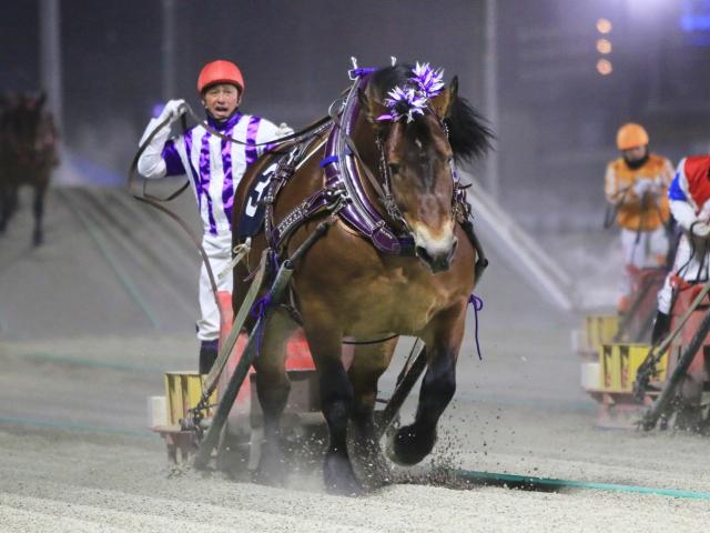 【ばんえい記念注目馬】重量1000kgで争われる大一番 メムロボブサップが昨年の雪辱へ