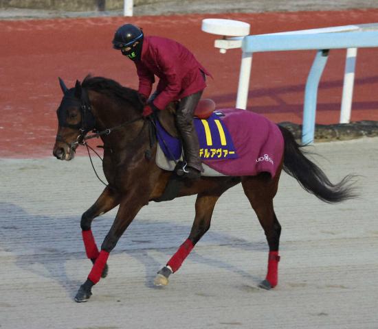 【若葉S】逸材デルアヴァー開花!待望の3歳春、いざ皐月切符獲りへ