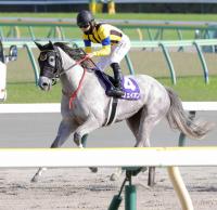  【愛知杯】イフェイオンは距離短縮に手応えあり　杉山佳調教師「広い中京の1400メートルならいい」