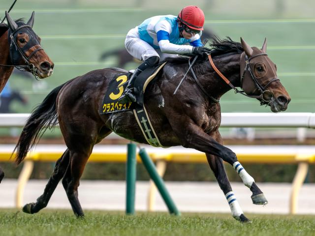 【ファルコンS予想】波乱傾向の強い3歳短距離重賞！ 前走の着順や人気に惑わされないことが的中の秘訣